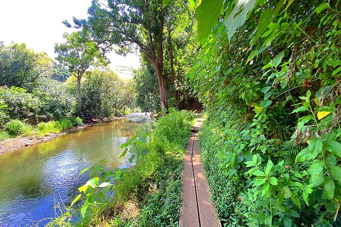 Wailua River and Secret Falls Kayak and Hiking Tour on Kauai - Challenging Experiences