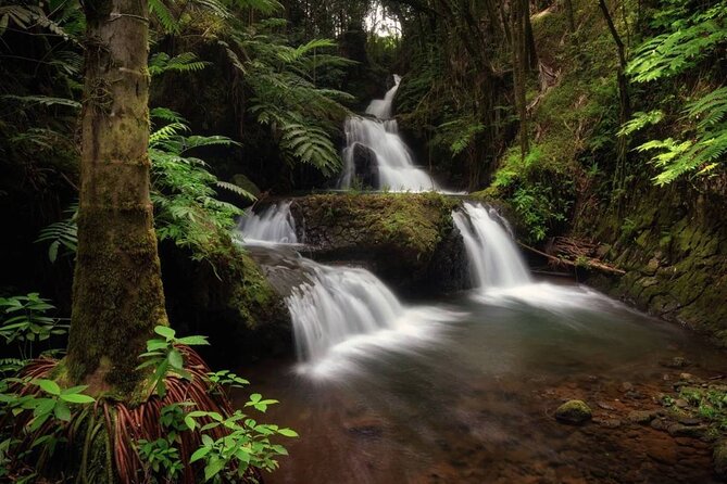 Waipio Valley, Hamakua Coast, Akaka Falls From Kona (Mar ) - Cancellation and Reviews