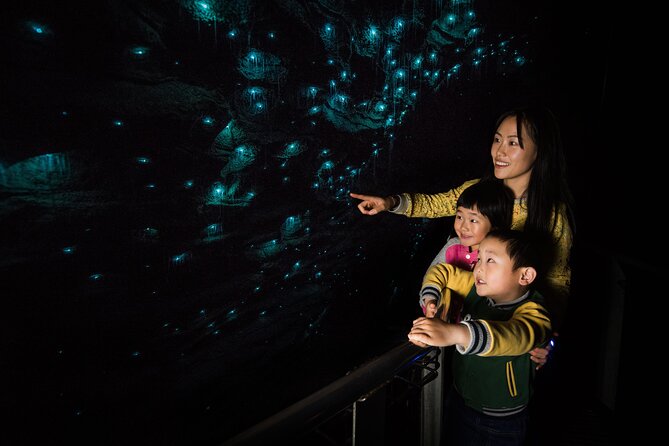 Waitomo Glowworm Cave Experience - Small Group Tour From Auckland - Traveler Photos