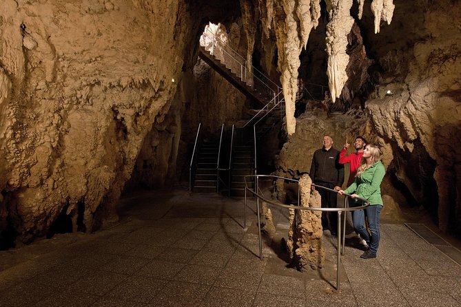 Waitomo Glowworm Caves Guided Tour - Traveler Feedback