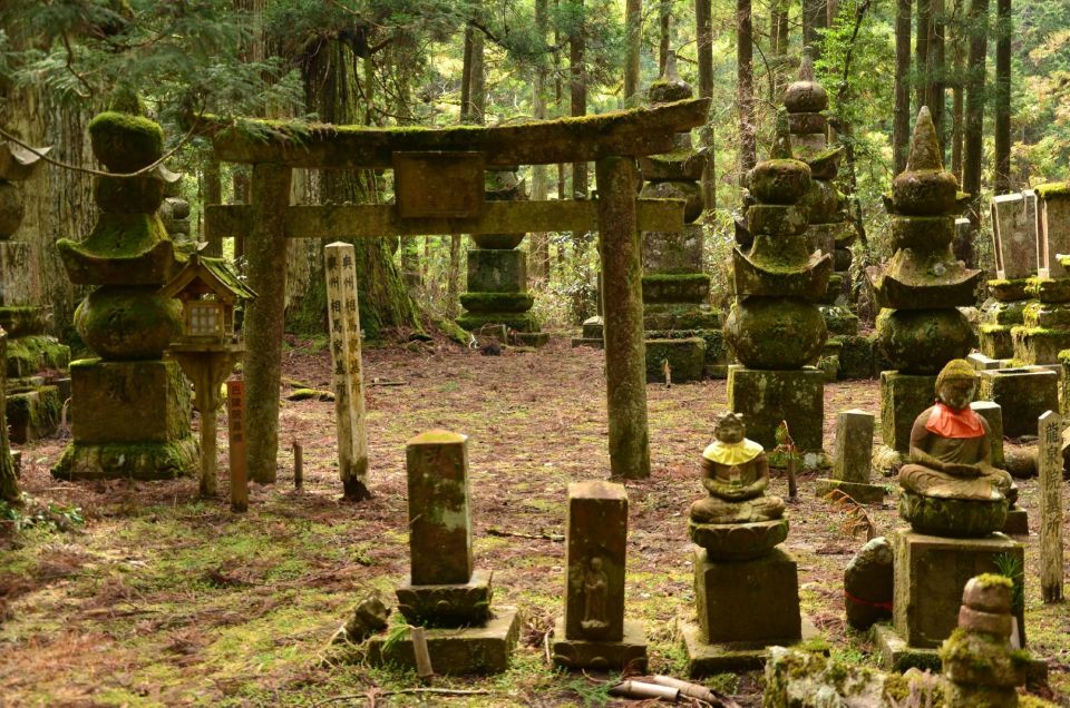 Wakayama: Mt. Koya Private Walking Tour With Local Guide - Pricing and Tour Confirmation
