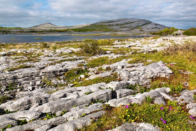 Walk in Burren National Park Clare. Guided. 4 Hours. - Common questions