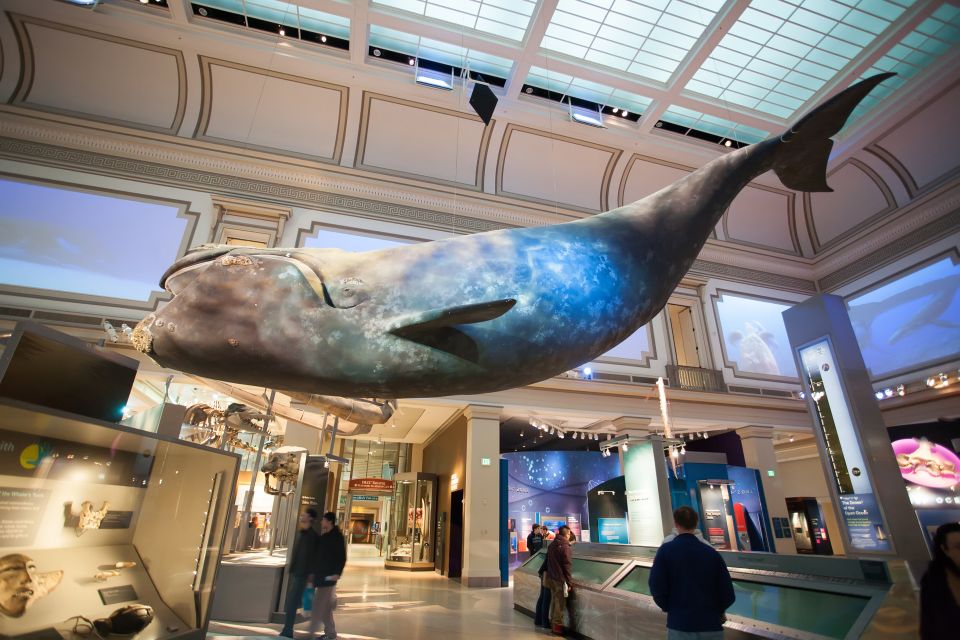 Washington DC: Museum of Natural History Private Guided Tour - Reservation Details