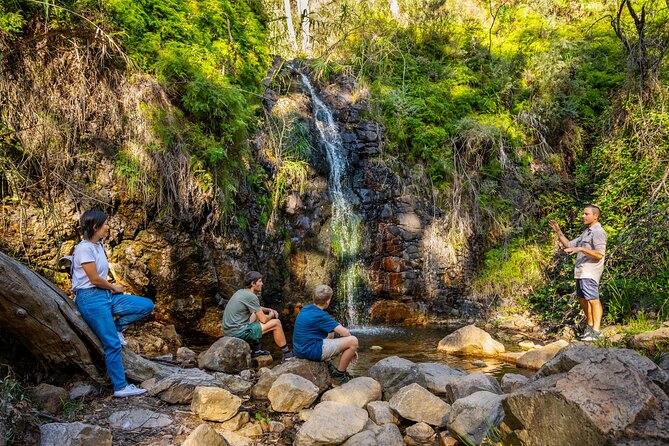 Waterfall Gully to Mt Lofty Guided Hike - Hotel Pickup and Drop-off