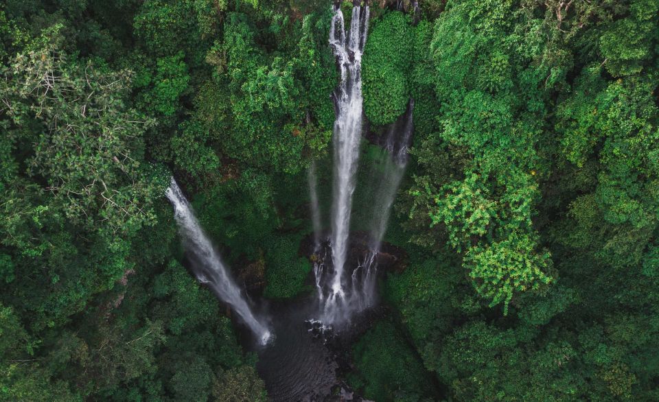 Waterfall Trekking: Bali's Northern Temples and Twin Lakes - Tour Description