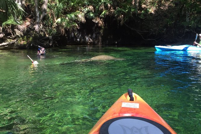 Wekiva River Guided Kayak Tour - Common questions