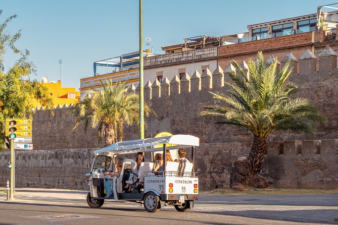 Welcome Tour to Seville in Private Eco Tuk Tuk - Booking Tips