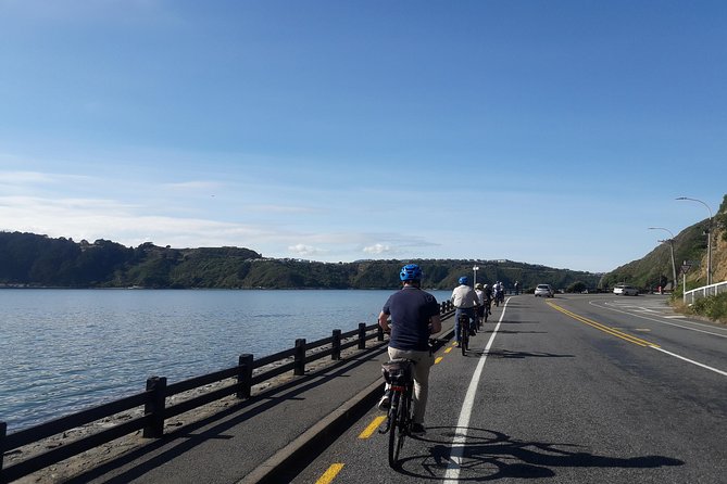 Wellington Electric Bike Tour - Pricing and Booking