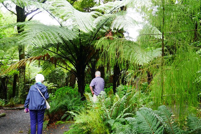 Wellington Region Full Day Private Tour: Get Out of the City - Activity Inclusions