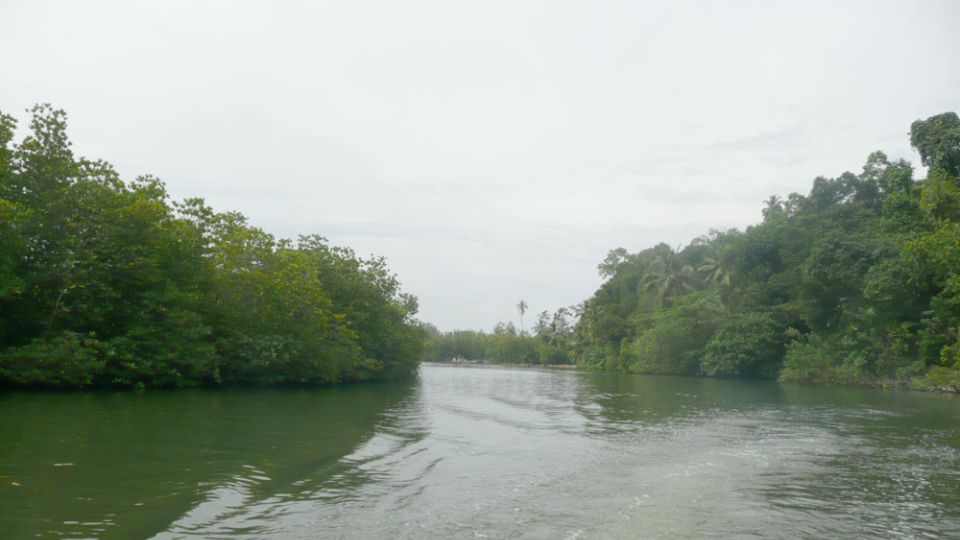 West Coast Beach, River Mangroves Lagoon, Wildlife Boat Tour - Boat Safari Highlights