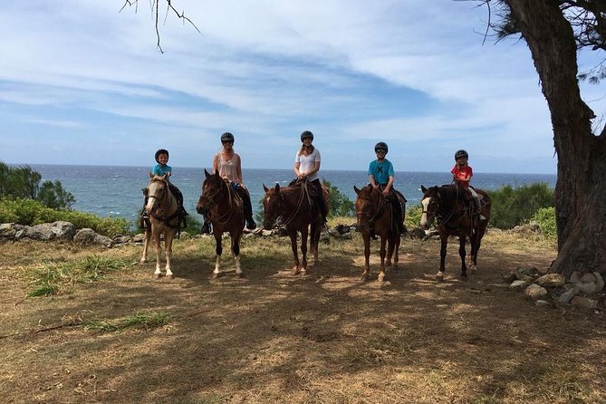 West Maui Mountain Waterfall and Ocean Tour via Horseback - Petting Zoo Visit