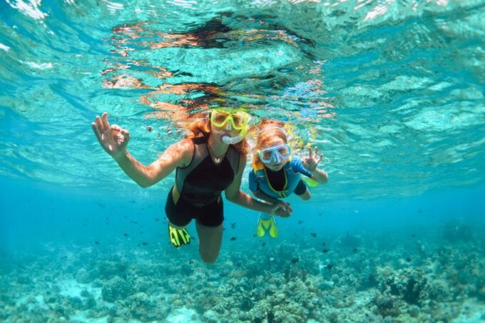 West Oahu Hawaiian Green Sea Turtle, Dolphin, & Snorkel Tour - Customer Reviews