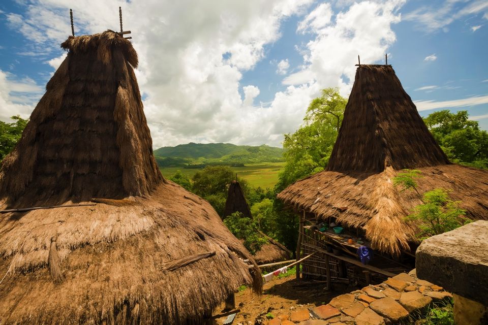 West Sumba: Highlights Tour With Ancient Villages - Historical Discoveries in Wanokaka and Surrounding Villages