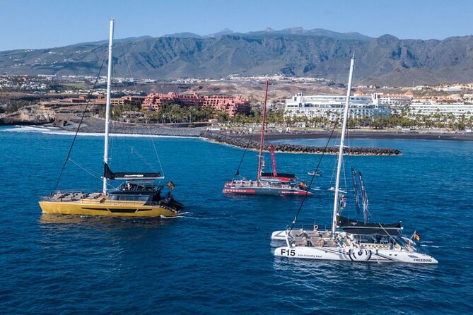 Whale Watching Catamaran in Costa Adeje (Including Drinks & Sandwich) - Crew Performance & Amenities