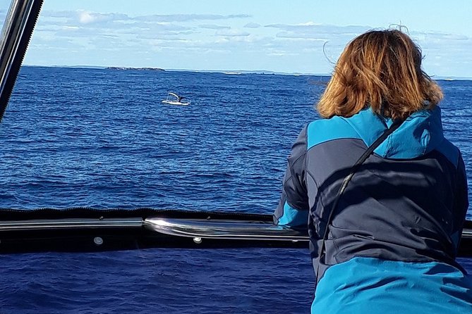 Whale Watching From Augusta in Western Australia - Reviews & Pricing