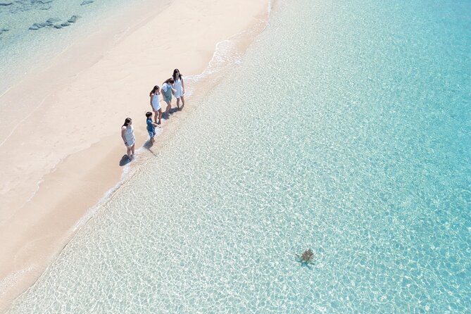 Whitehaven Beach & Hill Inlet Lookout Full-Day Snorkeling Cruise - Directions for Booking