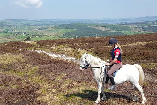 Wicklow Monutains Horse Trekking - Reviews and Pricing