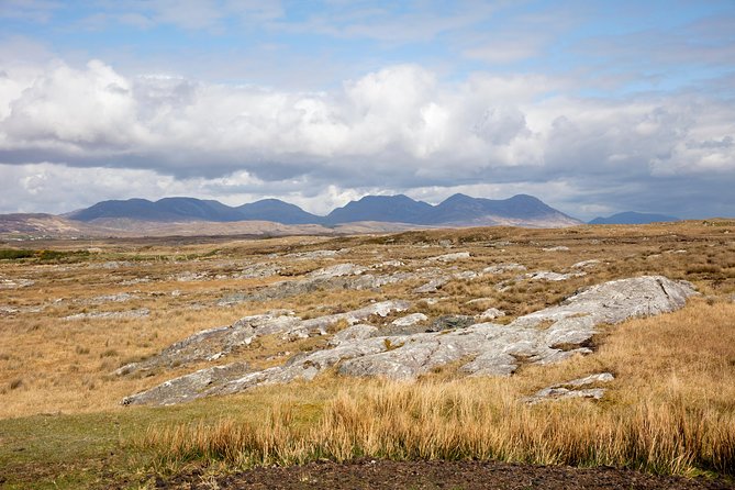 Wild Red Deer Viewing Safari, Connemara. Guided 3hrs - Accessibility Information