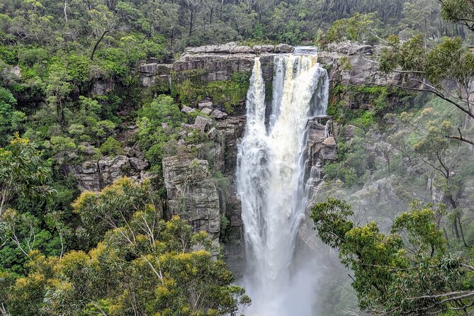 Wild Wombat and Kangaroo Day Tour From Sydney - Traveler Photos