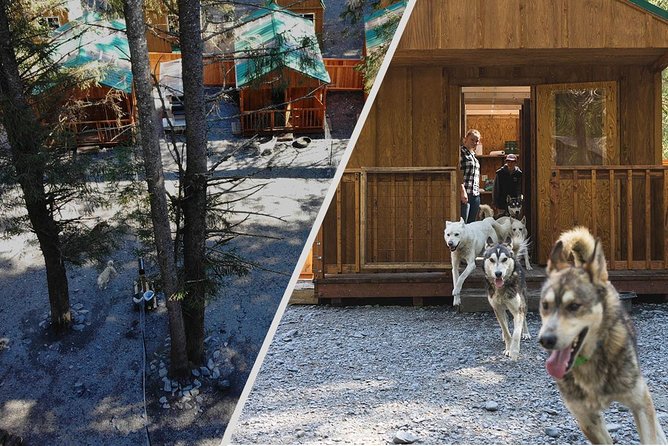 Wilderness Dog Sled Ride and Tour in Seward - Meeting Point