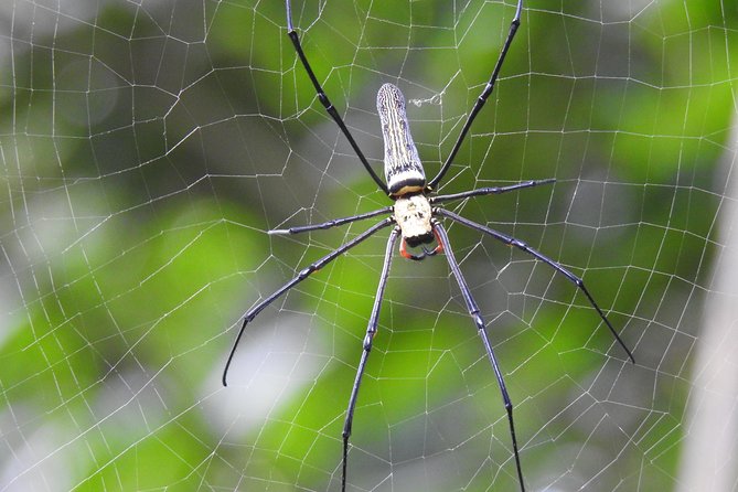 Wildlife at Sungei Buloh Wetland Reserve - Visitor Facilities Provided