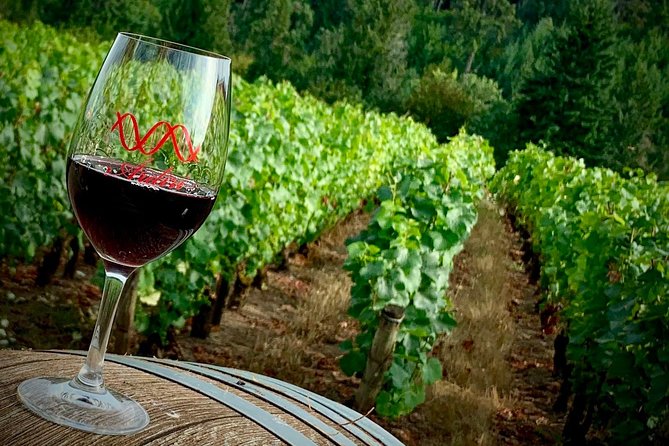Willamette Valley Wine Tour From Portland (Tasting Fees Included) - Highlights of the Wine Tour
