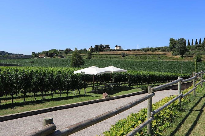Wine and Food Tasting in the Vineyards in Lazise - Additional Information