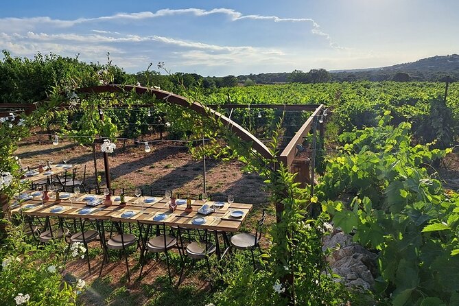 Wine Experience: Vineyard, Wines and Food - Reservation and Booking Guidelines