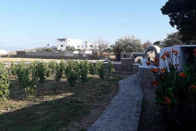 Wine Tasting Tour at a Traditional Farm in Mykonos - Common questions