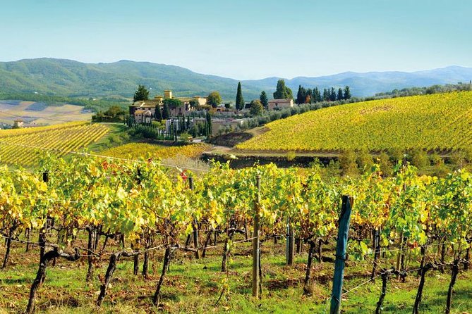 Wine Tasting & Tuscany Countryside, San Gimignano & Volterra - Customer Reviews and Highlights