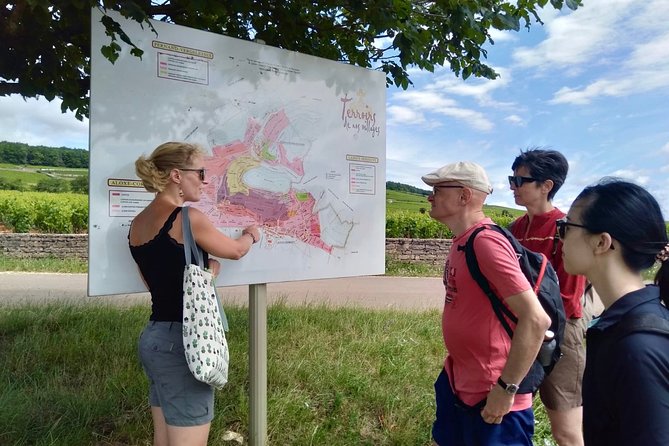 Wine Tour - Meursault, Its Prestigious Whites - Cancellation Policy Details