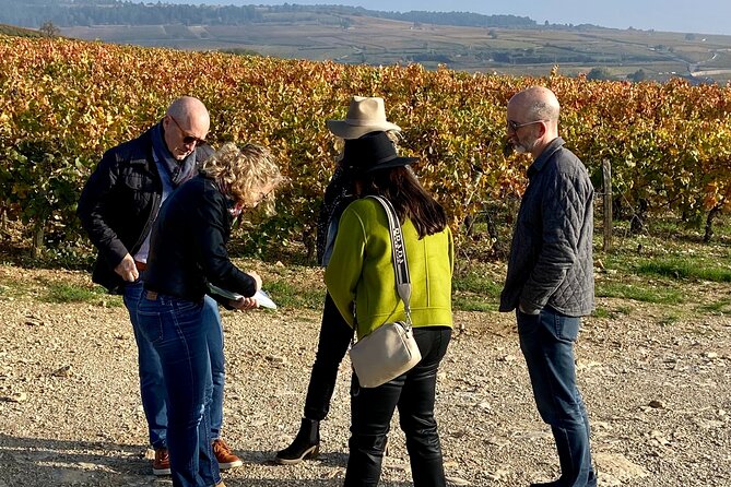 Wine Walking Tour Through the Burgundian Vineyards - 2h - Tour Highlights