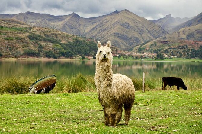 Wonderful Cusco 5-Day Tour With Entrance to Machupicchu - Booking Details and Services