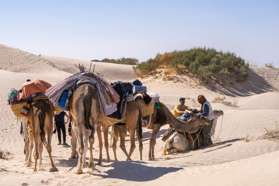 Wonders of Tunisia - 8 Day Tour - Inclusions