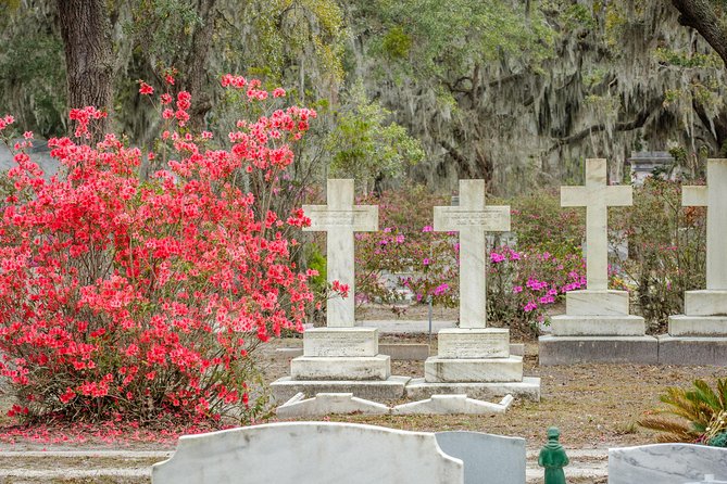 Wormsloe Historic Site & Bonaventure Cemetery Tour From Savannah - Customer Feedback and Recommendations