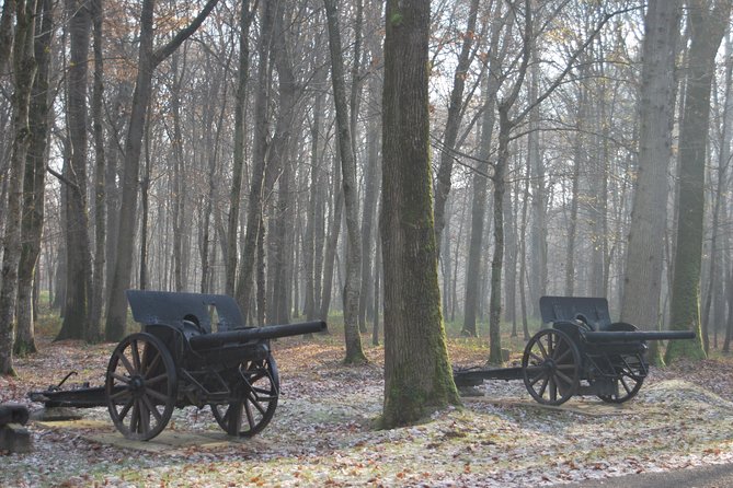 WWI Belleau Wood & Meaux Museum of the Great War Private Day Trip From Paris - Customer Experiences