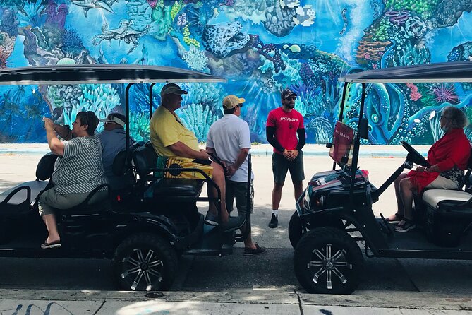 Wynwood Graffiti Golf Cart Small-Group Tour - Tour Highlights
