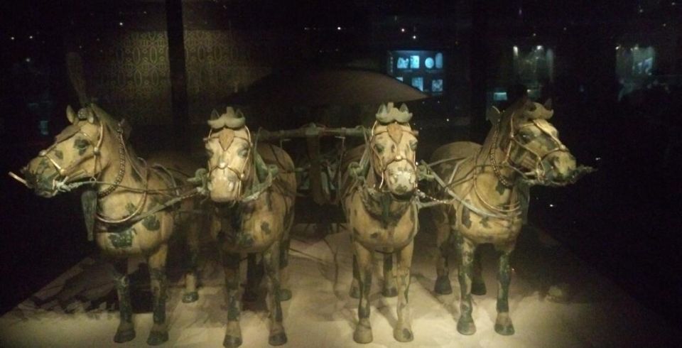Xi'an: Half-Day Terracotta Warriors & Horses Museum Tour - Tour Options