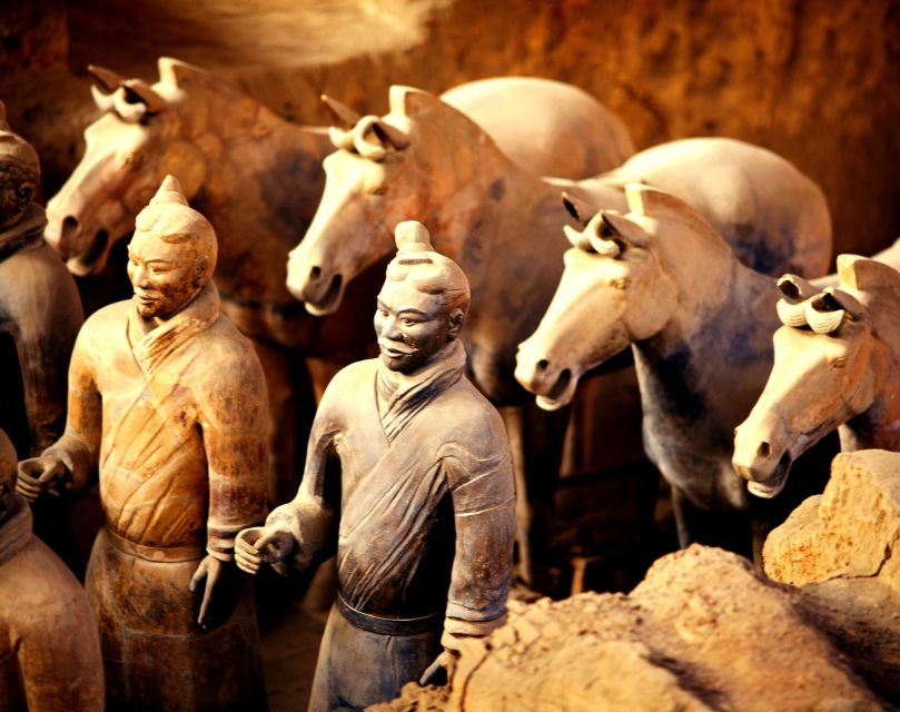 Xi'an Terracotta Warriors Banpo Museum Option Private Tour - Customer Reviews