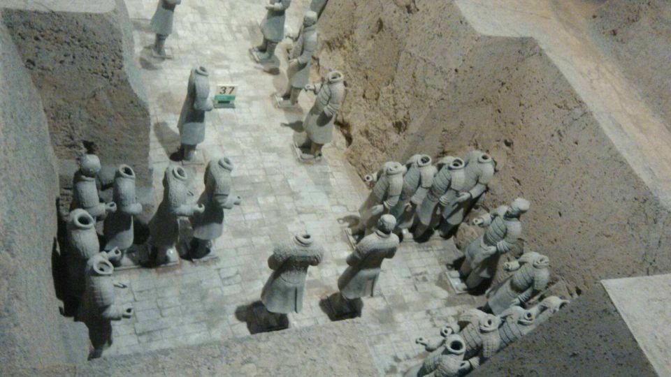 Xi'an Terracotta Warriors & Horses Museum Private Tour - Tour Description