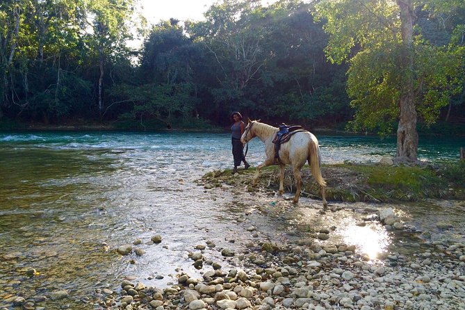 Xunantunich Horseback Riding Tour - Customer Recommendations