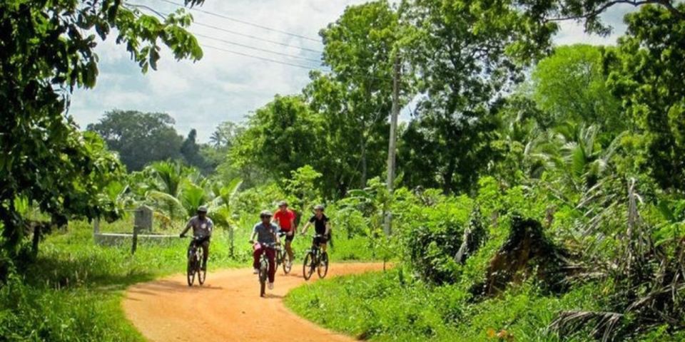 Yala: Cycling Expedition From Hambantota Harbor - Direction to Meeting Point
