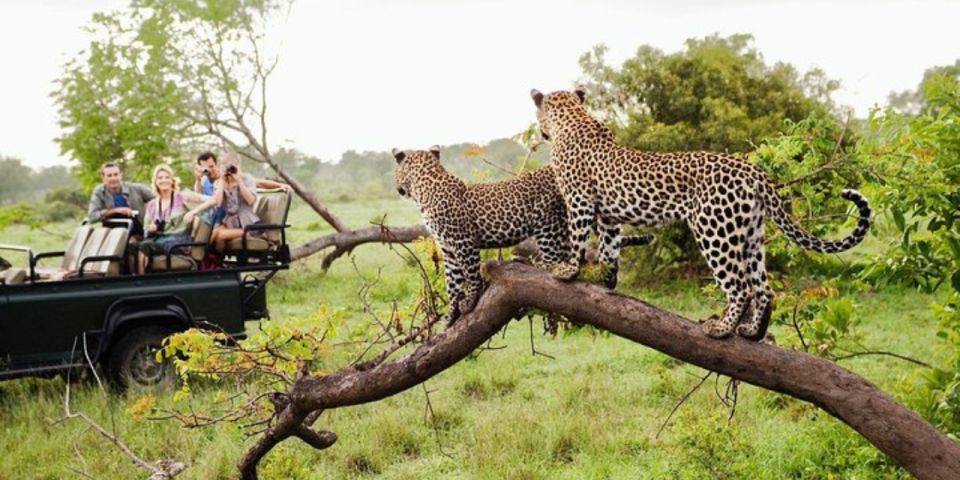 Yala National Park: Half Day Safari From Hambantota Harbor - Capturing Moments