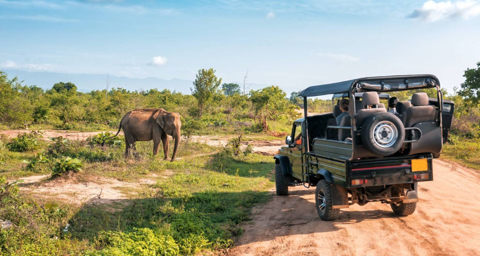 Yala Safari Tours: Yala Private Safari, All Inclusive - Yala National Park Features