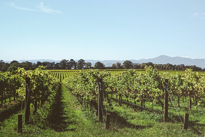 Yarra Valley Grazing Tour With Champagne Brunch at Chandon - Pricing and Inclusions Details