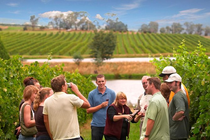 Yarra Valley Wine and Winery Tour From Melbourne - Additional Tour Information