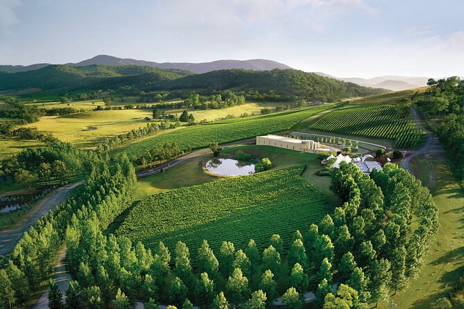 Yarra Valley Wineries Private Day Tour - Common questions