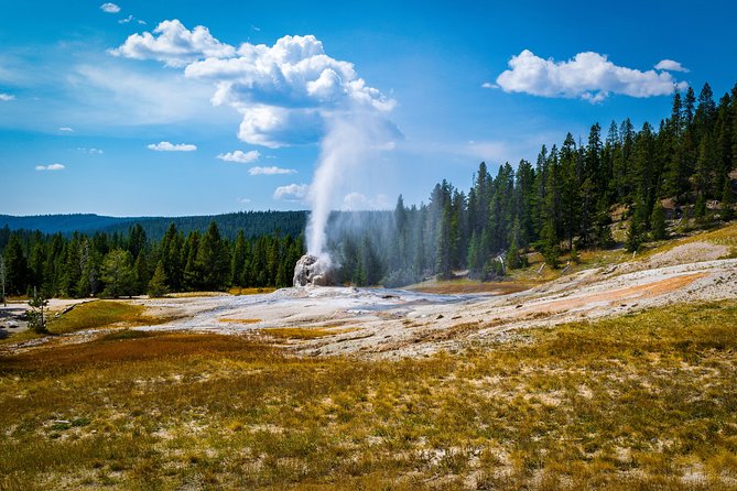 Yellowstone Full Day Private Tour - Logistics and Pickup Information