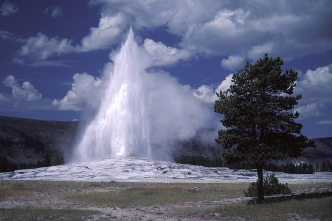Yellowstone Lower Loop Full-Day Tour - Pick-Up Locations