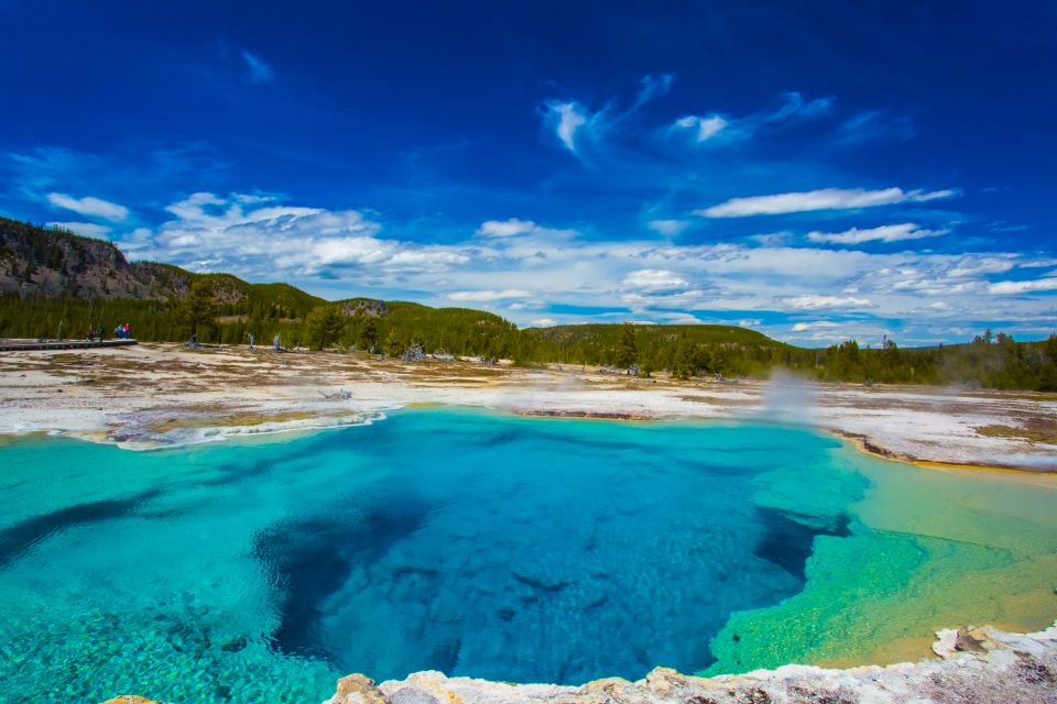 Yellowstone Lower Loop Tour From West Yellowstone With Lunch - Wildlife and Nature Observation